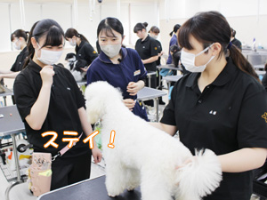 1年生が継続してステイの練習！